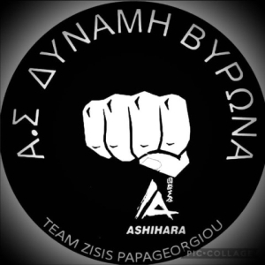 Σημαντικές διακρίσεις του "Α.Σ. ΔΥΝΑΜΗ Βύρωνα"