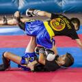 1in_omaf-2019-0158.jpg