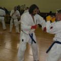 ashihara-seminario-32.jpg