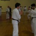 ashihara-seminario-33.jpg
