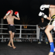 pro-sanda-2-fights-3.png