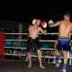 pro-sanda-2-fights-30.png