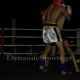 pro-sanda-2-fights-4.png