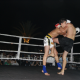 pro-sanda-2-fights-9.png