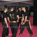 cheung-karapanos-seminar-2.png