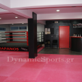karapanos-sxoli-10.png