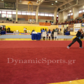 1-diasil-wushu-1.png