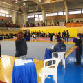1-diasil-wushu-18.png