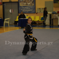 1-diasil-wushu-20.png