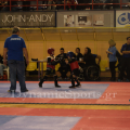 1-diasil-wushu-36.png