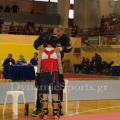 1-diasil-wushu-37.png