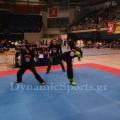 18-panellinio-2017-39.jpg