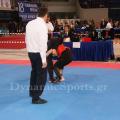 18-panellinio-2017-57.jpg