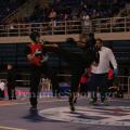 18-panellinio-2017-67.jpg