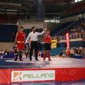 19panell-wushu-2018-04.jpg