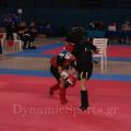 19panell-wushu-2018-32.jpg