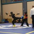 wushu-diasylogiko-2016-48.jpg