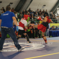 panell-wushu-2014-1.png