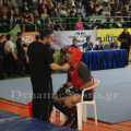panell-wushu-2014-29.png