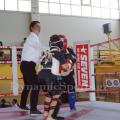 top-fight-league-11.jpg