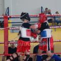 top-fight-league-17.jpg