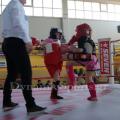 top-fight-league-3.jpg
