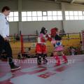 top-fight-league-4.jpg