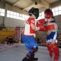 top-fight-league-6.jpg