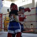 top-fight-league-7.jpg