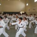 wado-1imerida-proponiton-3.jpg