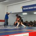 sanda-young-dragons-05252.jpg