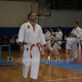 leukareia-2013-26.png