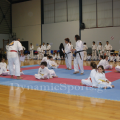 leukareia-2013-32.png