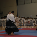 leukareia-2013-44.png