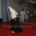 open-budo-2014-27.png